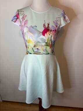 Ted Baker London Mint Dress with Painterly Floral Bodice